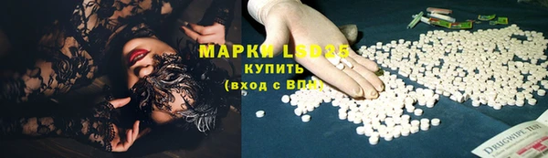 стаф Абаза